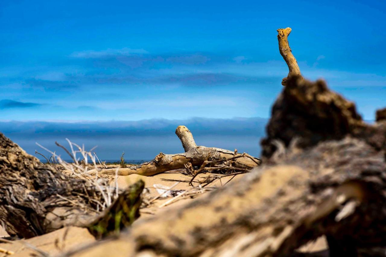 Shipwreck Lodge Mowebaai Esterno foto
