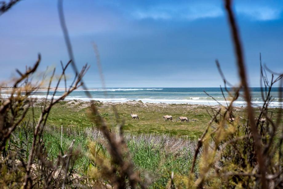 Shipwreck Lodge Mowebaai Esterno foto